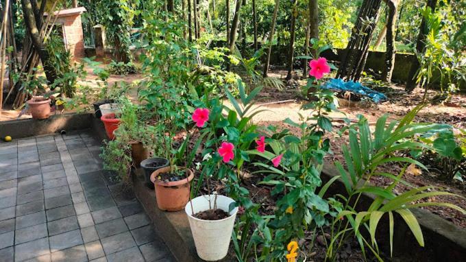 Sneh Beach Homestay - Wayangani Vengurla Luaran gambar
