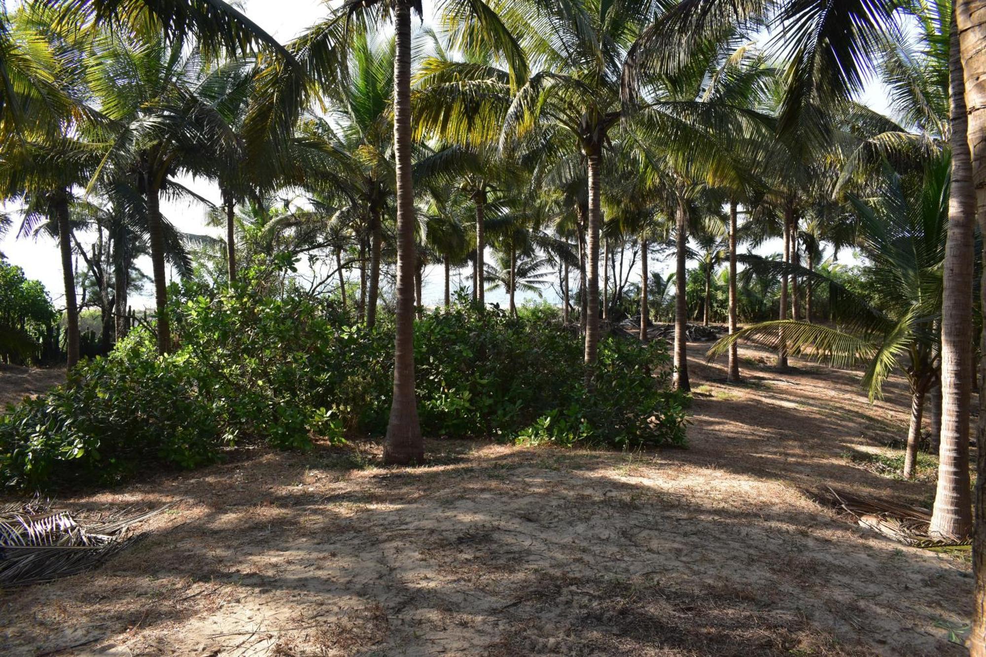 Sneh Beach Homestay - Wayangani Vengurla Luaran gambar